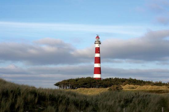 Aphrodite Met Zonnig Terras, Eigen Keuken, Verwarmd Hotel-Zwembad, Nabij Dorp, Duinen En Strand هولوم الغرفة الصورة