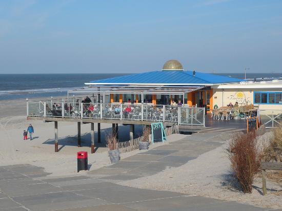 Aphrodite Met Zonnig Terras, Eigen Keuken, Verwarmd Hotel-Zwembad, Nabij Dorp, Duinen En Strand هولوم المظهر الخارجي الصورة